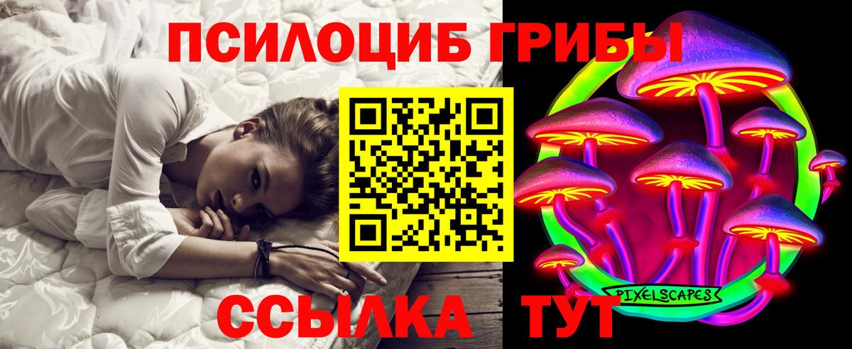 Псилоцибиновые грибы Psilocybe  Вход с VPN  Новозыбков 