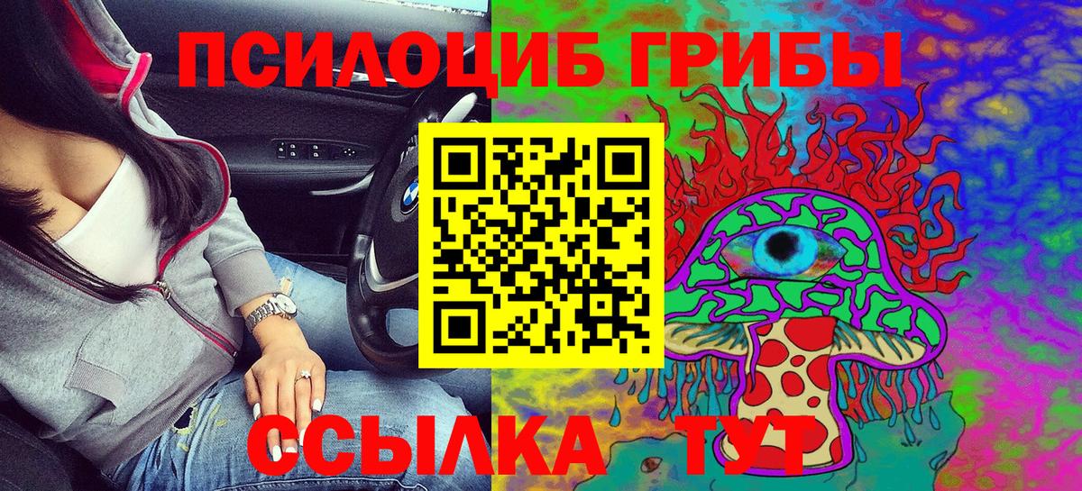 Псилоцибиновые грибы Psilocybe Новозыбков